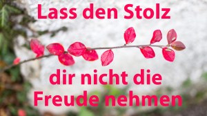 lass-den-stolz